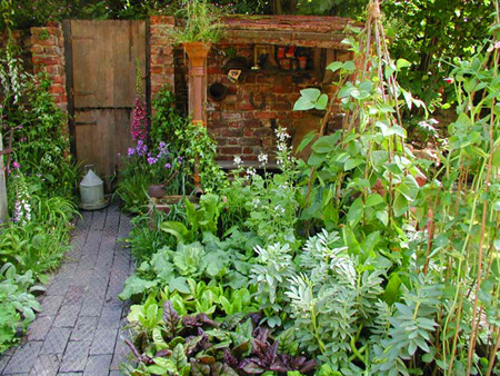 Best Courtyard Garden: A W Gardening Services